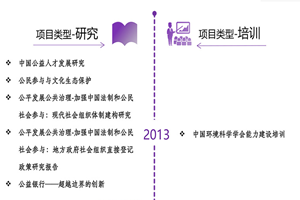 肏穴非评估类项目发展历程